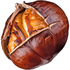 Roasted chestnut